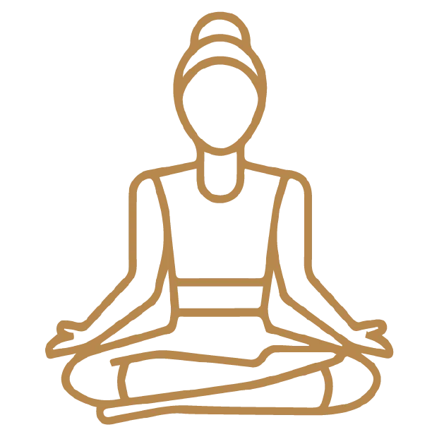 ace terra water features