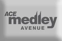 ACE Medley Avenue Noida