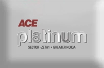 ACE Platinum