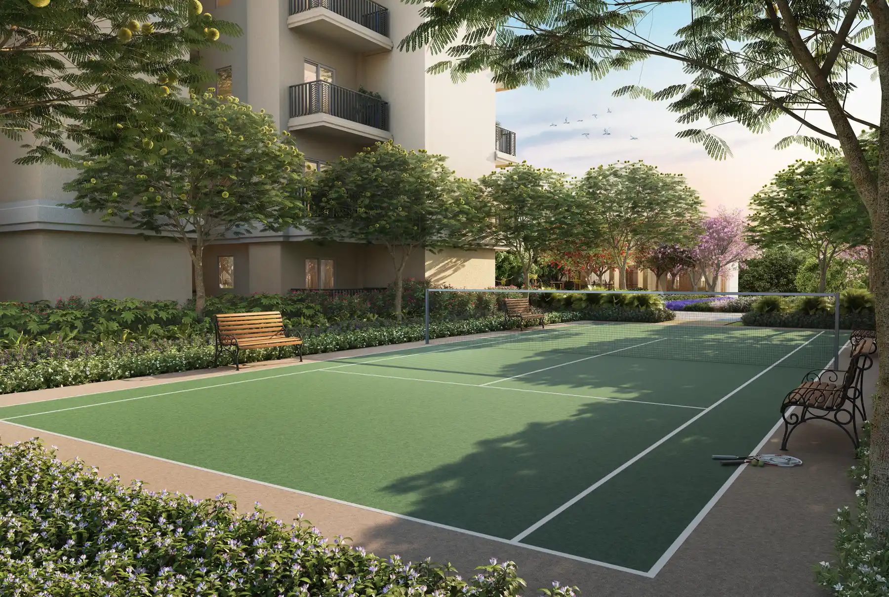 Ace Terra Tennis Court View